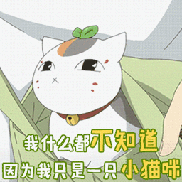友人帐 我什么都不知道因为我只是一只小猫咪 soogif soogif出品 卖萌