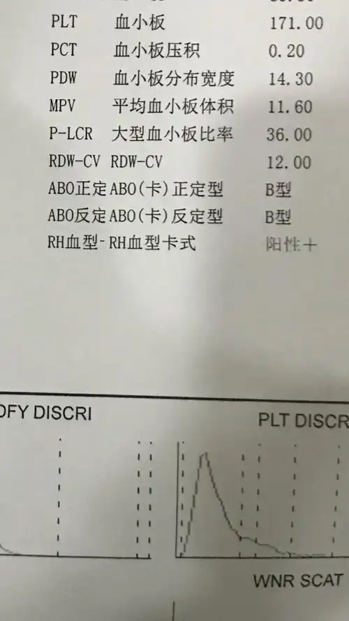 我是什么血型?这个可以看到吗?