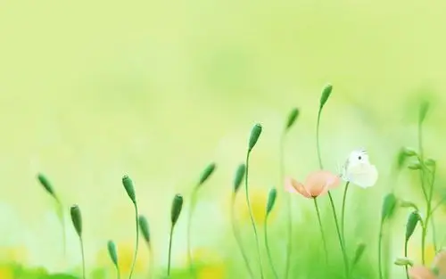 日最新壁纸图片