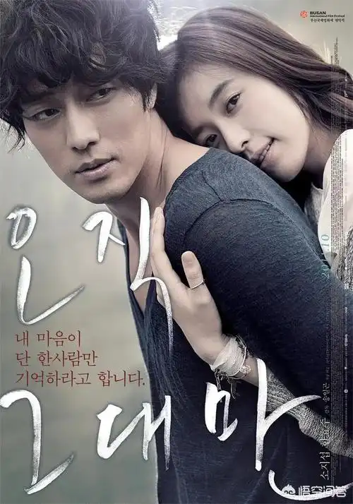 经典爱情韩剧近十年韩国好看的爱情电影有哪些