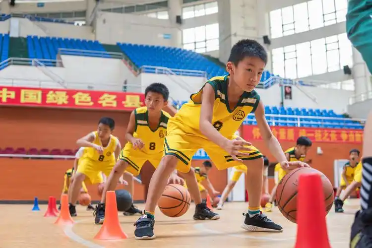 资讯|澄迈县2020年社区教育公益课程——少儿篮球班结课啦