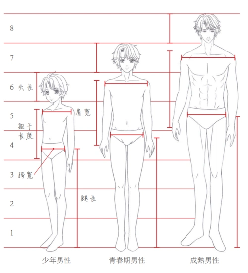 漫画人物结构画不好?看看别人是怎么画的(强烈建议收藏)