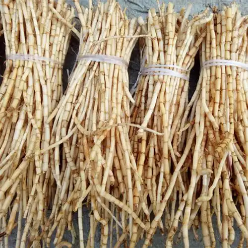 农聚源鲜茅根500g白茅根毛根新鲜蔬菜as