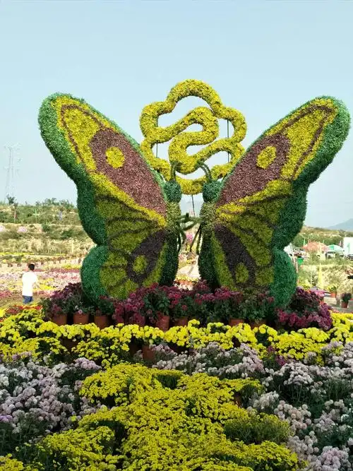 游玩邢台抱香谷