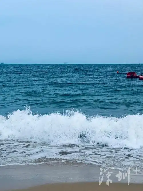 小梅沙即将开放!出行指南来了