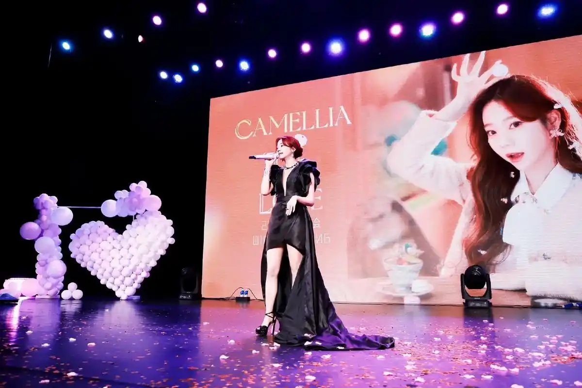 张紫宁520长沙演唱会整体视觉包装#张紫宁 #张紫宁长沙演唱 - 抖音