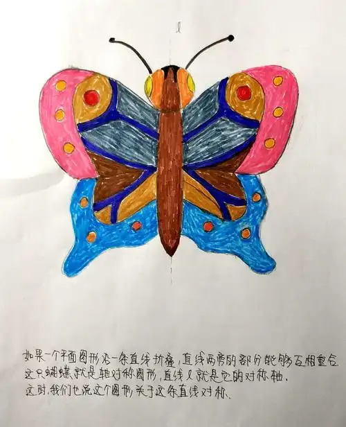 一八常态(2)班轴对称设计