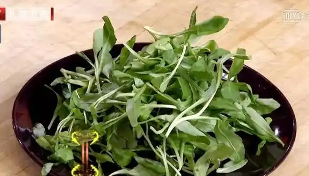 春天这5种不花钱的野菜养肝降脂祛湿散寒千万别错过