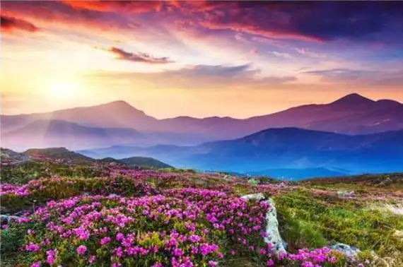 中国十大最让人迷醉的花海婺源油菜花花海上榜第一在新疆