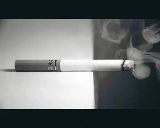 毕飞宇一支烟的故事给儿子