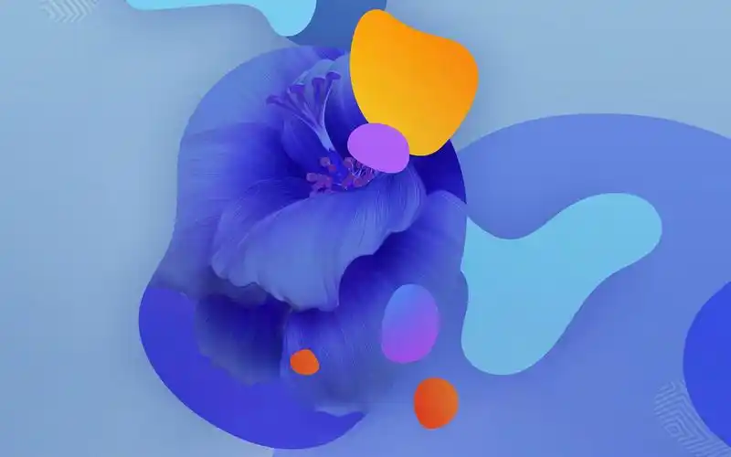 华为nova5官方内置壁纸