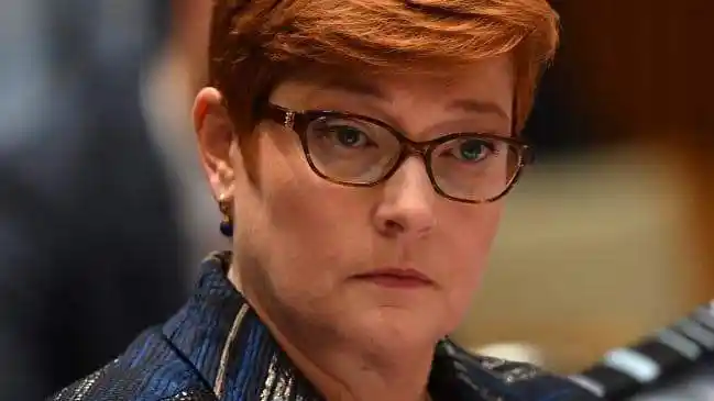 澳大利亚外交部长玛丽斯·佩恩发布声明,表示对此事进行"严重关切"