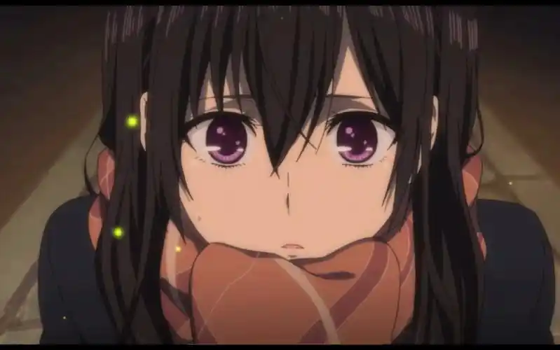 这份感情绝对不会辜负你."citrus柑橘味香气