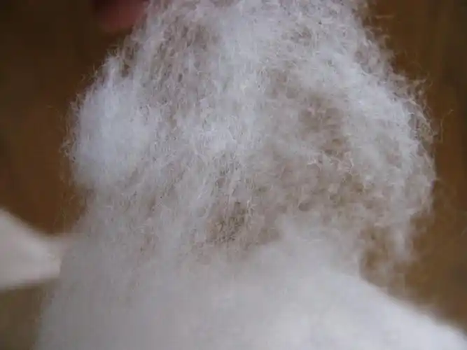 激萌色新疆长绒棉花手摘棉棉垫棉被被子抱被被芯填充物散棉花棉絮