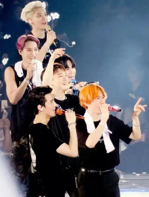 exo  #爱丽  #演唱会 #壁纸