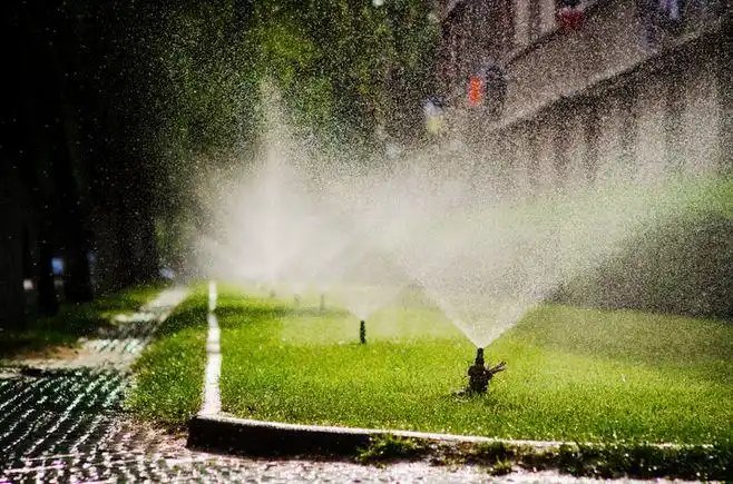 南草坪的水喷,夏天一不小心会溅满身