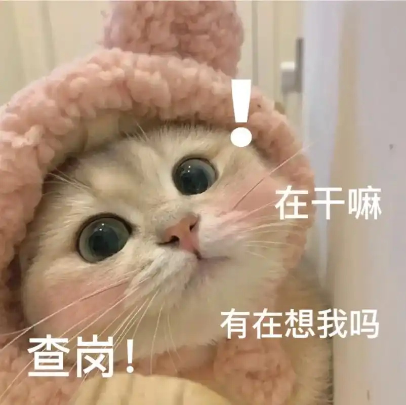 又是想老公的一天呢#猫咪表情包 - 抖音