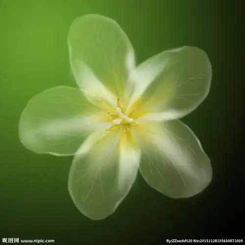 透明花朵设计图__psd分层素材_psd分层素材_设计图库_昵图网nipic.com