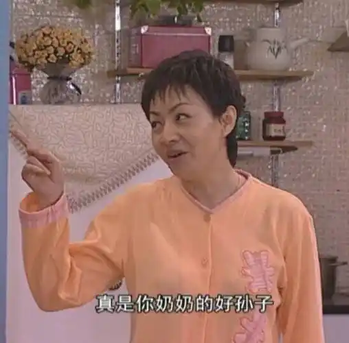 家有儿女宋丹丹:真是你奶奶的好孙子