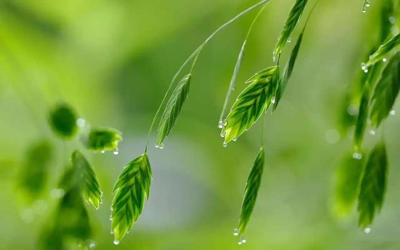 微信朋友圈超火的短句子,简短精辟,值得人深思!