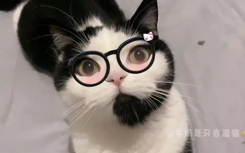 戴眼镜的小客服喜欢吗
