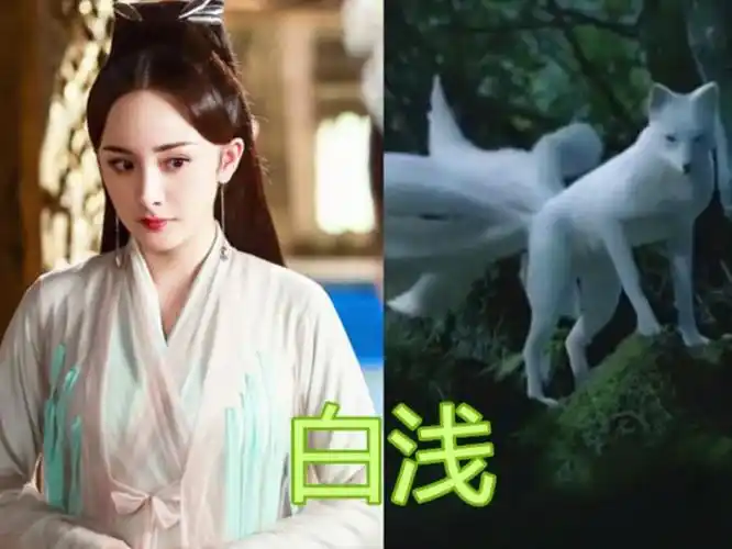 原创4个版本的"九尾狐",白浅高贵,凤九灵动,看到最后:我心动了