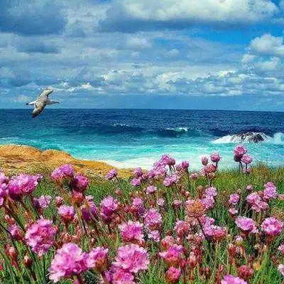 很优质很好看的风景大气招财头像很有质感很精致的风景招财头像