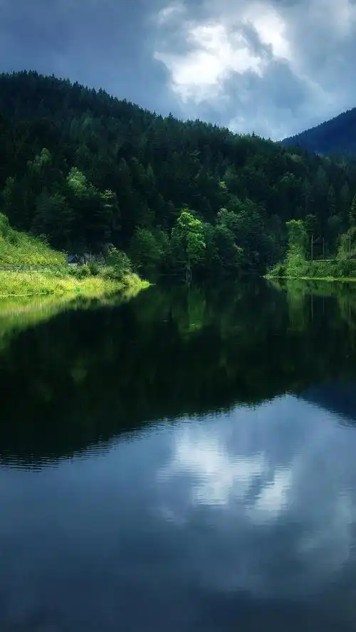 《壁纸大师》1080p超清蓝光手机壁纸 好评率达到98%