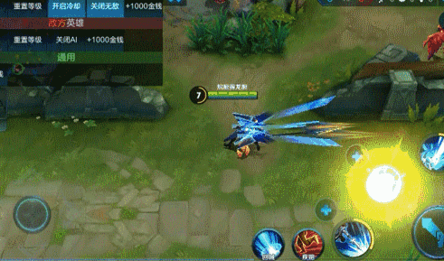 赵云 新皮肤gif技能效果