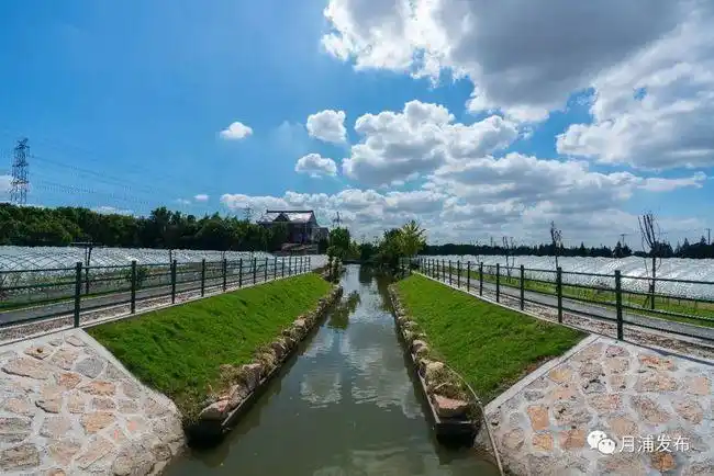 宝山这里打造"农艺田园理想生活家"|月浦镇|宝山区|美丽乡村_网易订阅