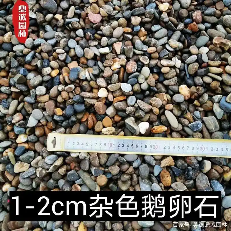 鹅卵石建筑造景点缀石 天然杂色鹅卵石图片 广东鹅卵石产地批发