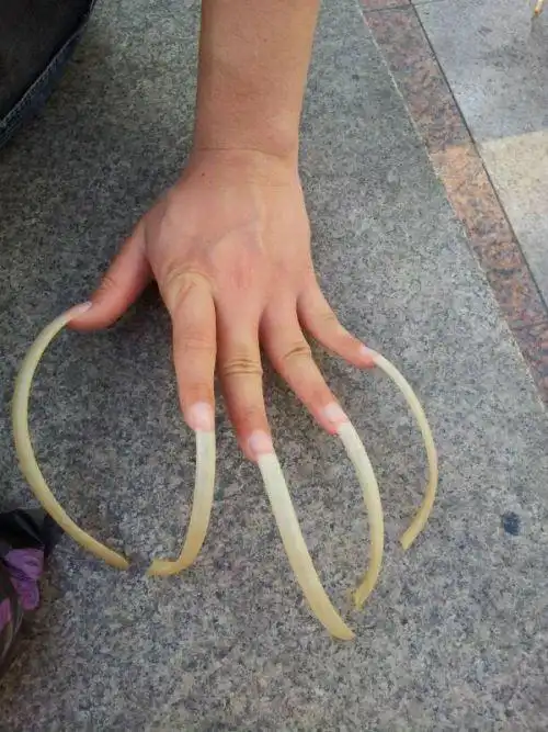 中国最长指甲,有人收藏吗?