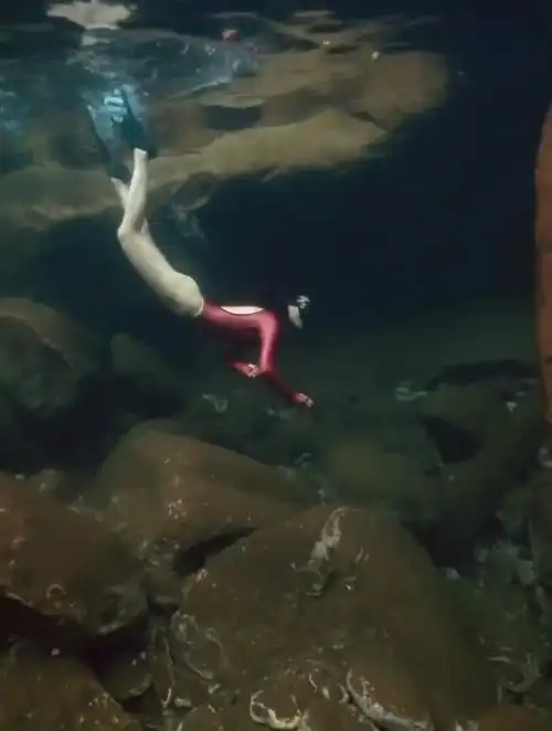 喜欢潜水的泳衣美女,皮肤白皙身材凹凸有致,这换谁都顶不住啊!