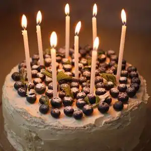 生日蛋糕一个白色的大生日蛋糕,上面有新鲜的有机蓝莓,薄荷和白色蜡烛