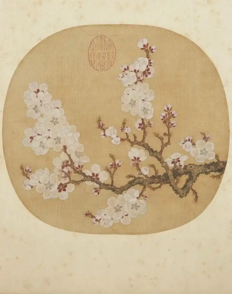 北宋 赵昌《写生杏花图》本幅仅画杏花一枝,花朵繁盛,显得春意盎然.