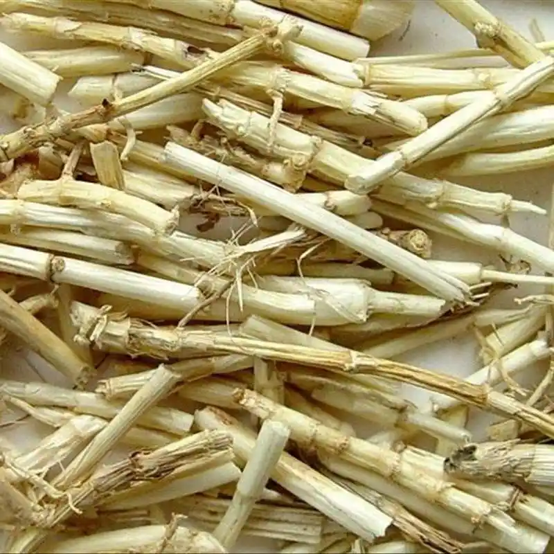 男人肾不好?找它养肾准没跑,用来煮水堪称天然"养肾草"