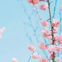 2020微信头像风景图片大全清新【点击鼠标右键下载】