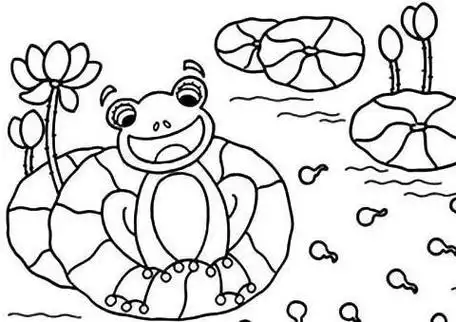 青蛙荷花荷叶简笔画