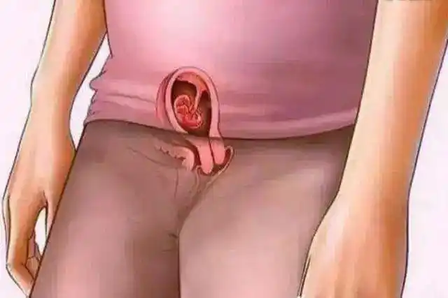 孕育生命究竟是什么样的十张图带你看怀孕全过程