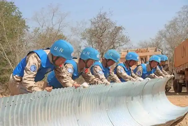 今天,为你郑重介绍我的"蓝盔"朋友!