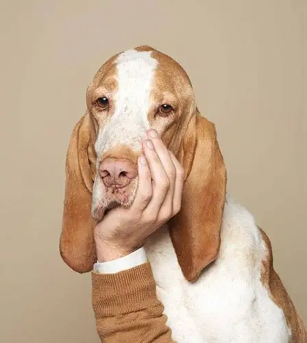 【巨搞笑】创意图片之发自心灵的创意图片动物系列