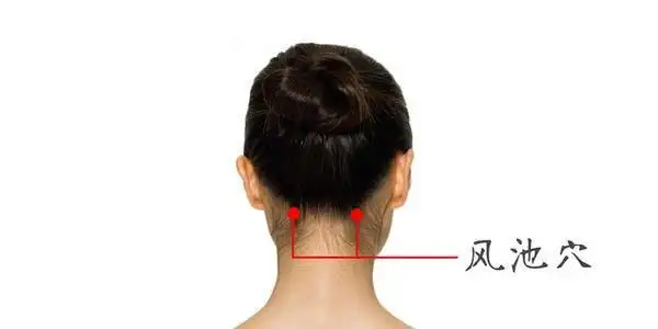 风池穴两边的位置