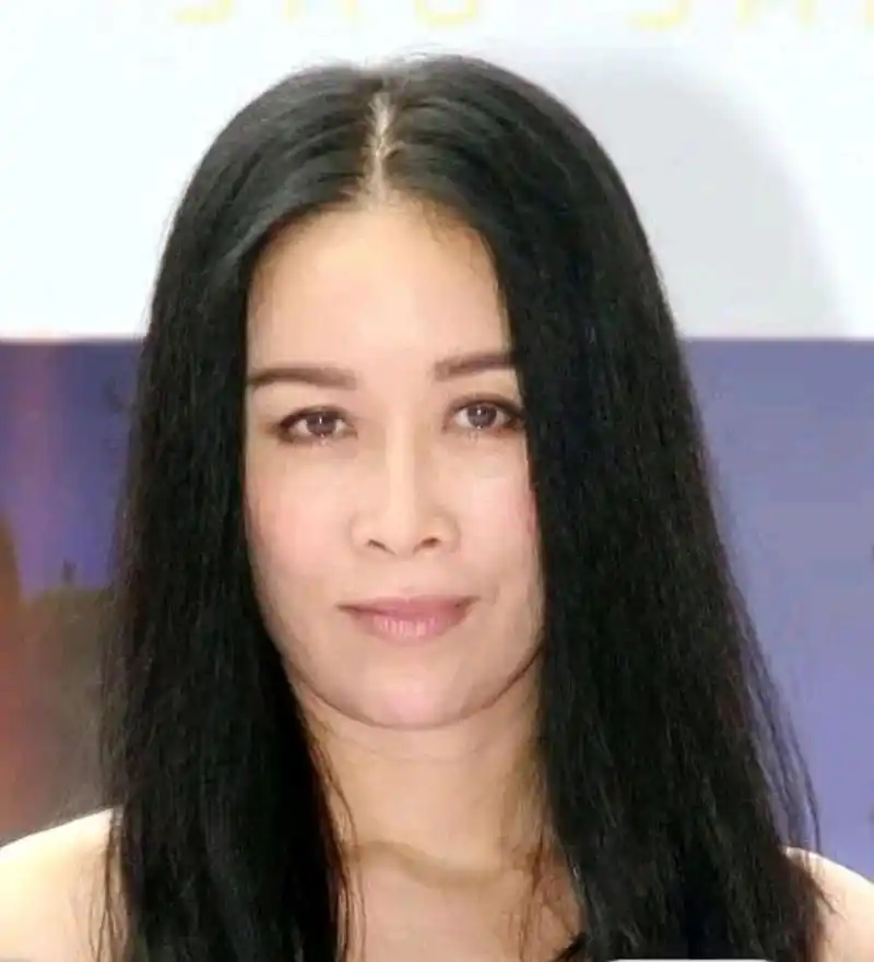 那辛否认香港被捕传闻 那辛针对近日关于她被捕的传闻进行了否认,并