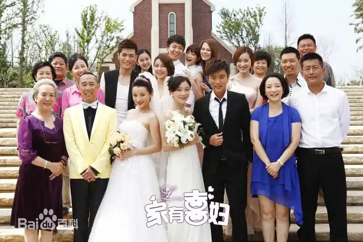 家有喜妇剧情介绍家有喜妇演员表剧照