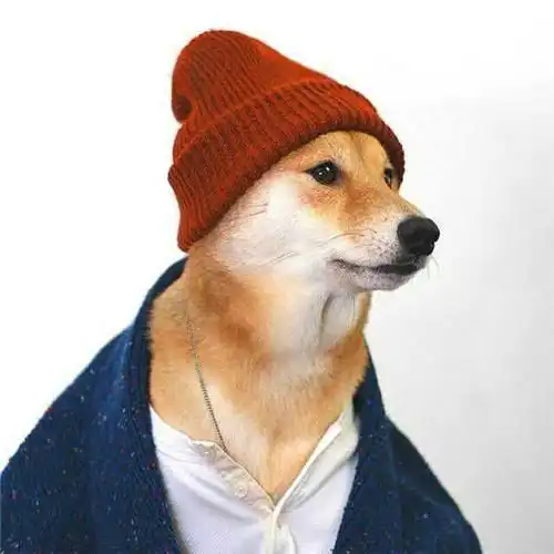 抖音兽头人身潮图头像图片