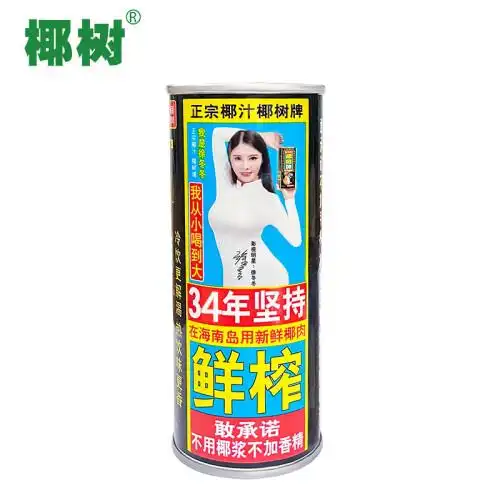 椰树牌正宗 椰子汁  245ml*24罐整箱装  植物蛋白饮料