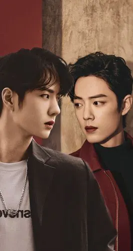 王一博肖战博君一肖