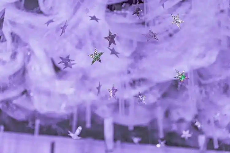 【梦幻季】白金汉爵大酒店紫色梦幻小清新婚礼