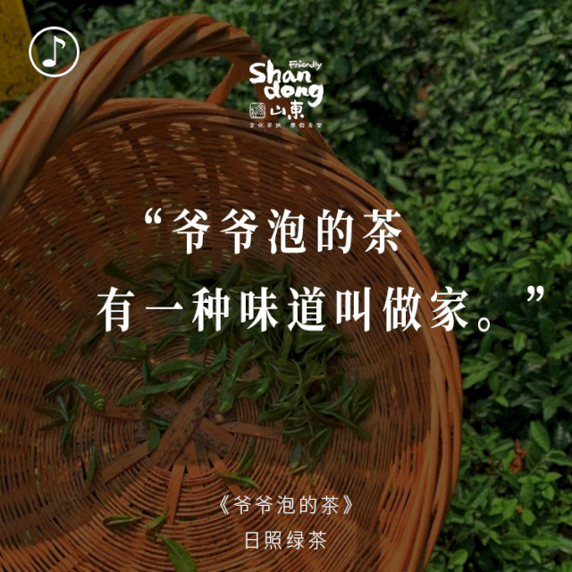 《爷爷泡的茶》夏初的蝴蝶谷,蝴蝶纷飞,色彩斑斓的蝴蝶在花海之中