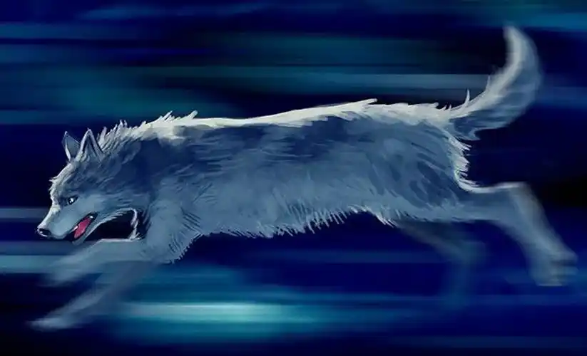 要求:公狼,脸上有纹(没有也行)身体主要呈银白色,身上斑纹呈银蓝色